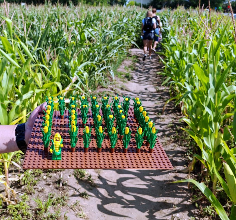 foto Kostkování ve SVĚTĚ LABYRINTŮ 13974