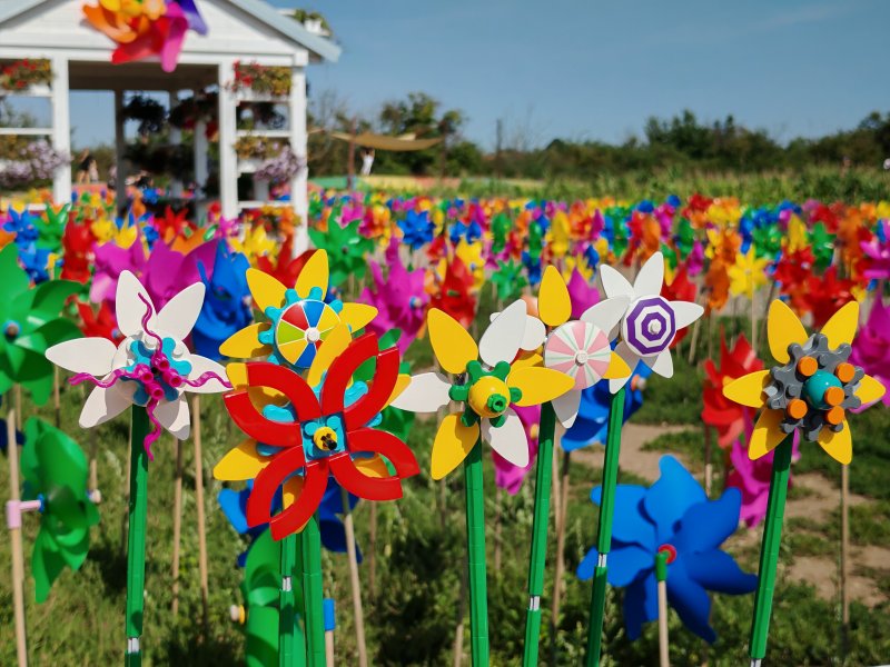 foto Kostkování ve SVĚTĚ LABYRINTŮ 13989