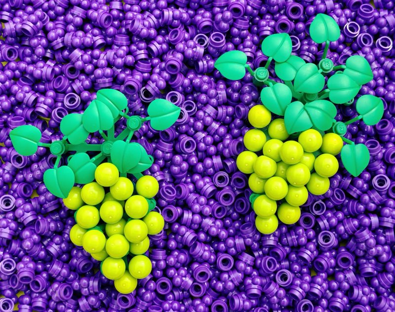 foto HROZNY NA VINICÍCH 13994