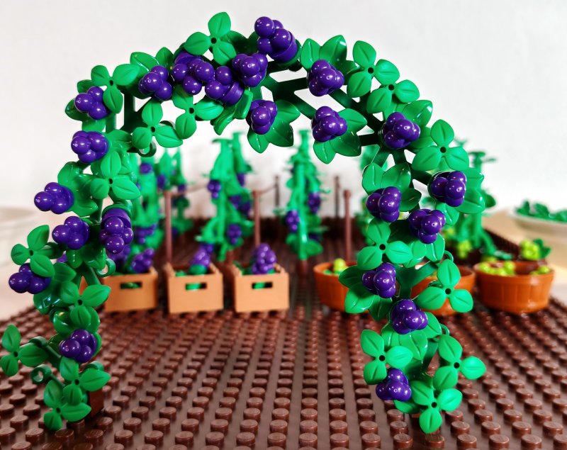 foto HROZNY NA VINICÍCH 14000