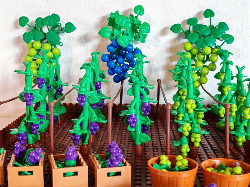 foto HROZNY NA VINICÍCH 14003