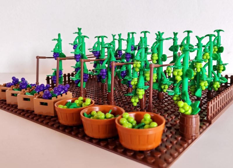 foto HROZNY NA VINICÍCH 14006