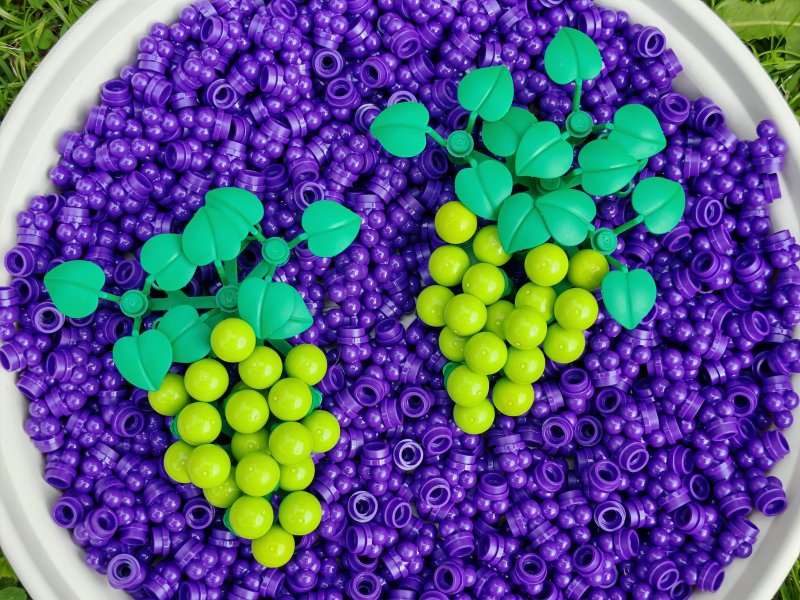 foto HROZNY NA VINICÍCH 14010