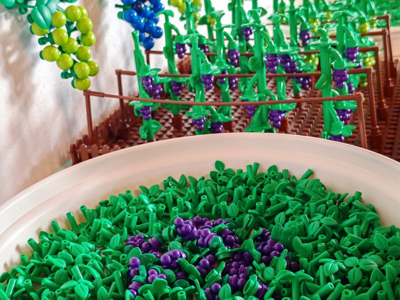 foto HROZNY NA VINICÍCH 14014