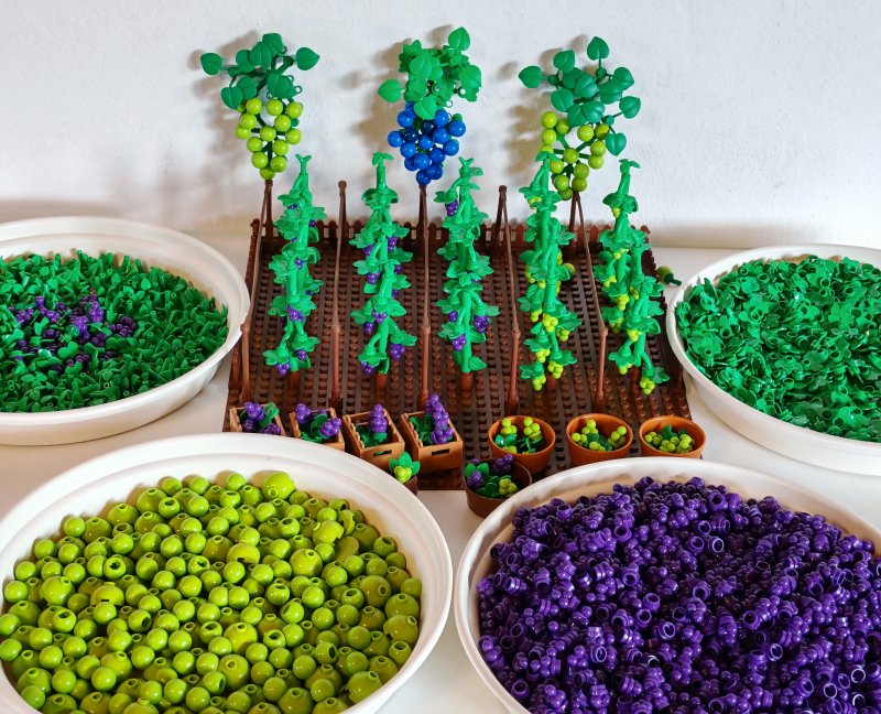 foto HROZNY NA VINICÍCH 14015