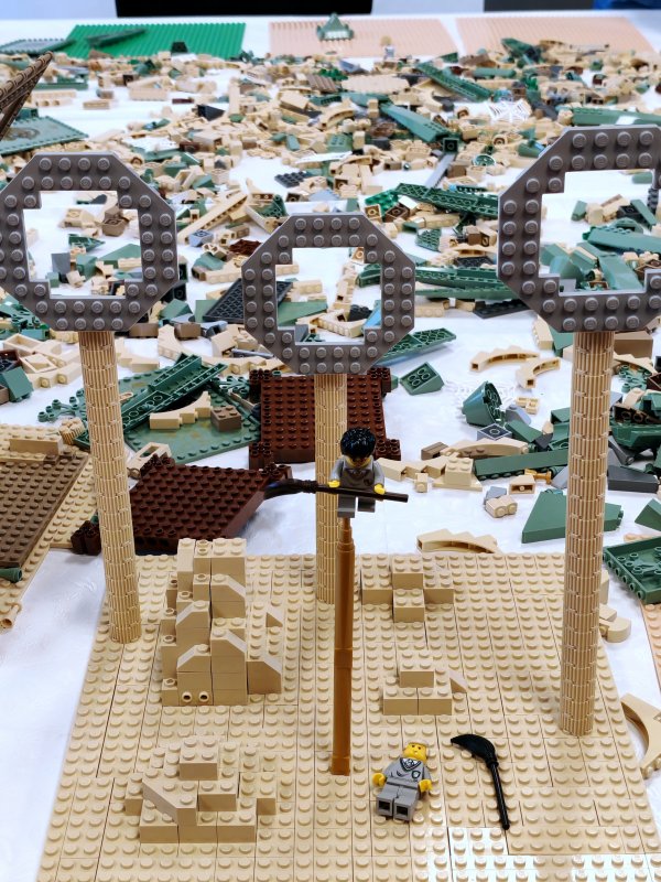 foto Stavíme KOUZELNICKÉ BRADAVICE 14549