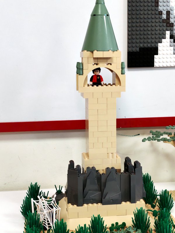 foto Stavíme KOUZELNICKÉ BRADAVICE 14552