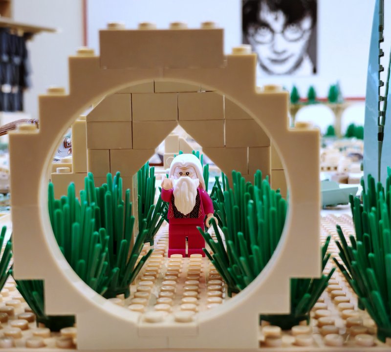 foto Stavíme KOUZELNICKÉ BRADAVICE 14554