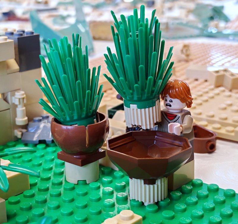 foto Stavíme KOUZELNICKÉ BRADAVICE 14555