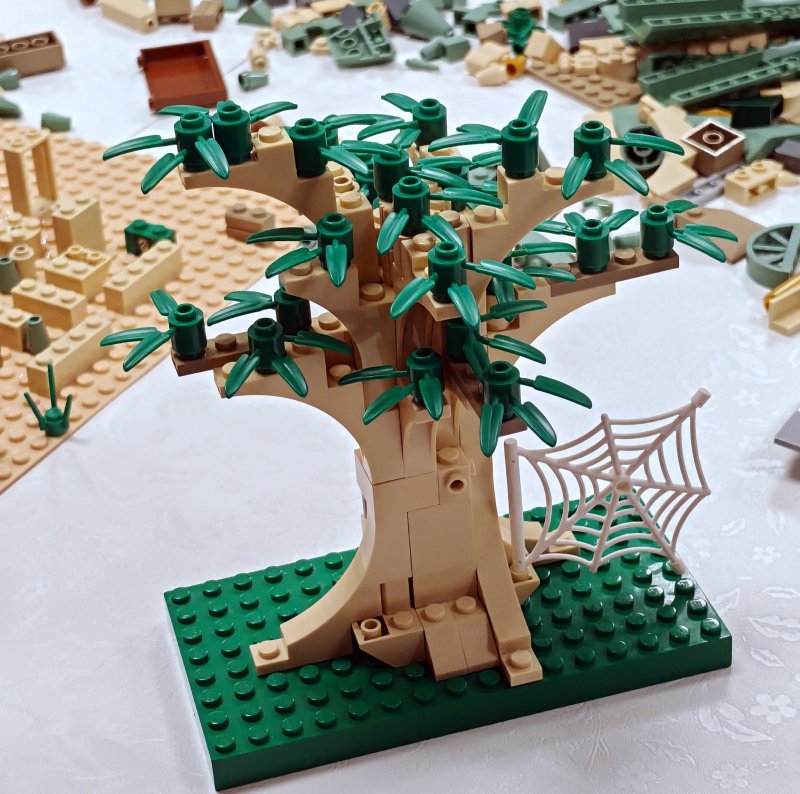 foto Stavíme KOUZELNICKÉ BRADAVICE 14559