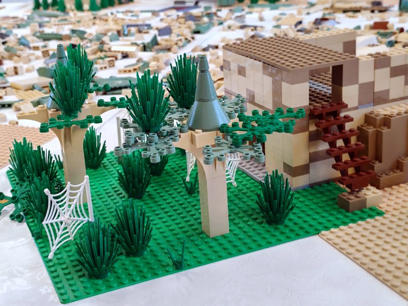 foto Stavíme KOUZELNICKÉ BRADAVICE 14568