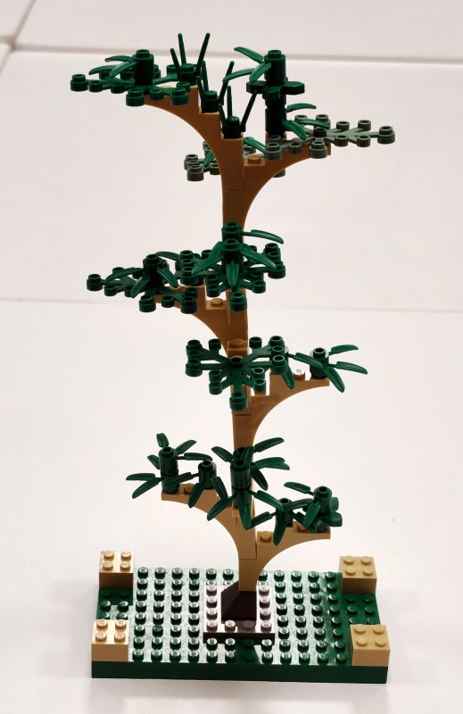 foto Stavíme KOUZELNICKÉ BRADAVICE 14580