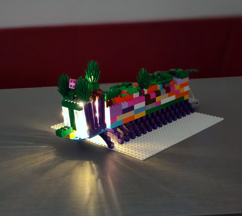 foto Podzimní lampiony 14700