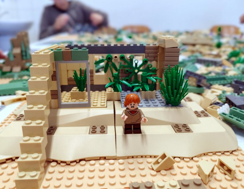 foto Bradavice, Harry Potter a spol 14754