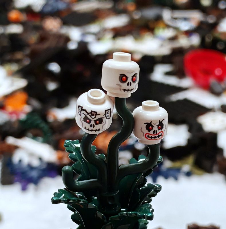 foto Strašidelný HOROR 14807