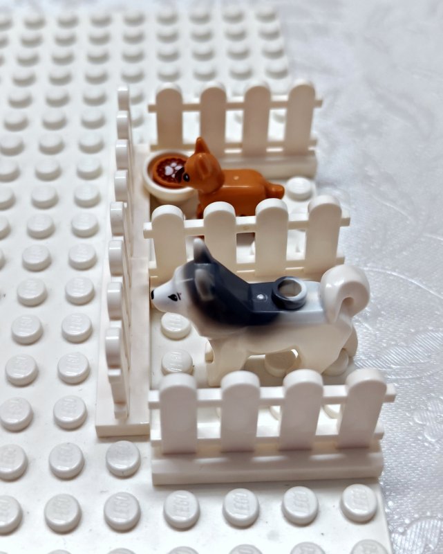 foto Chladivý FROZEN 14859