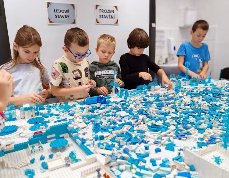 foto Chladivý FROZEN 14865