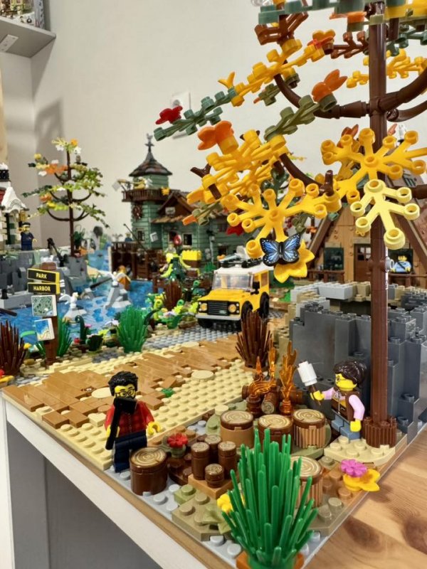 foto SOUTĚŽ Strom 14925