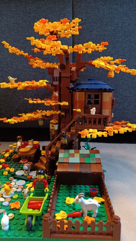 foto SOUTĚŽ Strom 14928