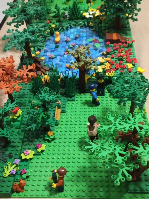 foto SOUTĚŽ Strom 14935