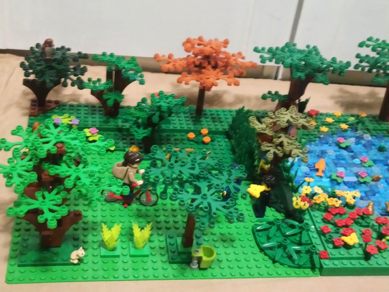 foto SOUTĚŽ Strom 14936