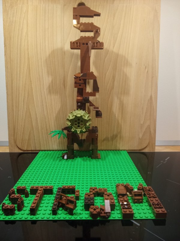 foto SOUTĚŽ Strom 14939