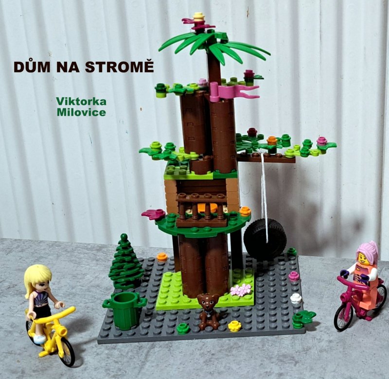 foto SOUTĚŽ Strom 14940