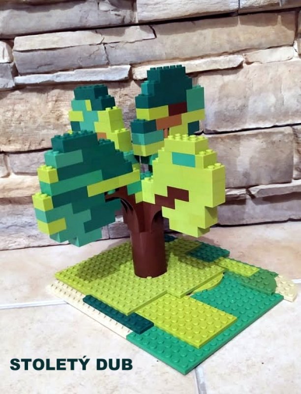 foto SOUTĚŽ Strom 14941