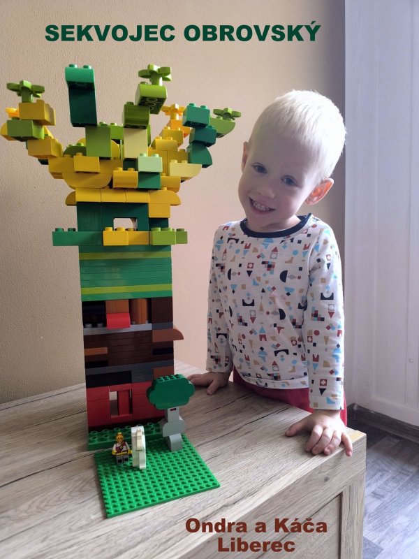 foto SOUTĚŽ Strom 14943