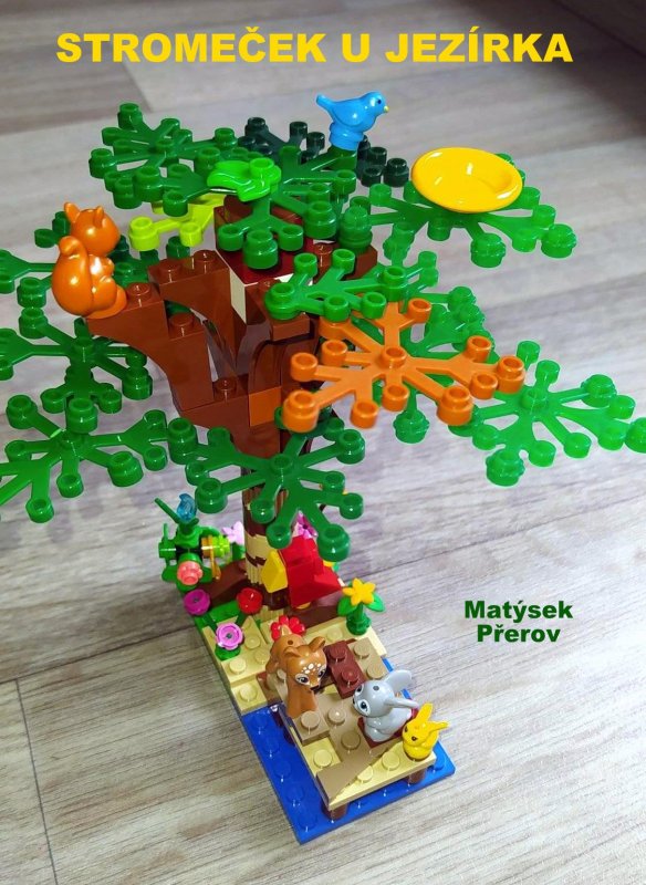 foto SOUTĚŽ Strom 14944