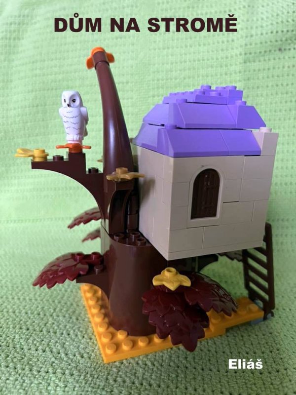 foto SOUTĚŽ Strom 14946