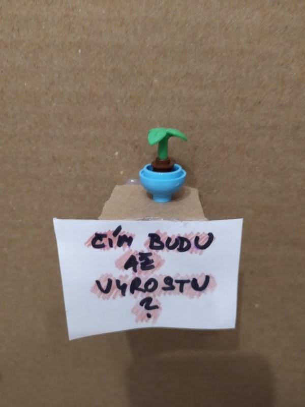 foto SOUTĚŽ Strom 14952