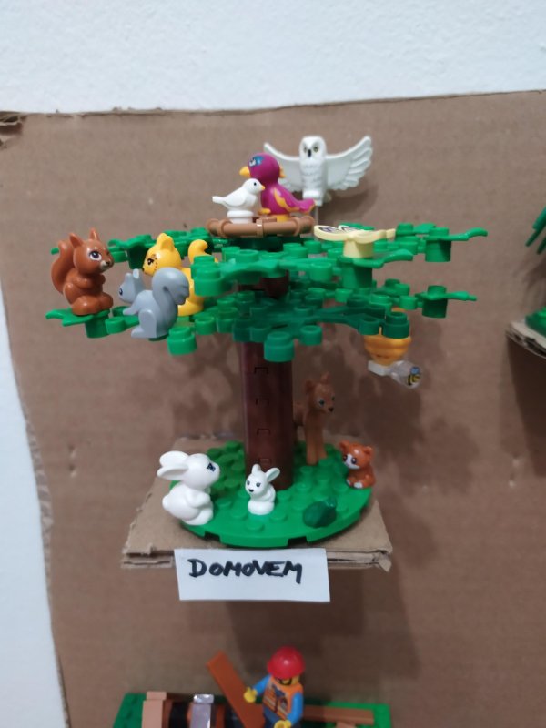 foto SOUTĚŽ Strom 14953