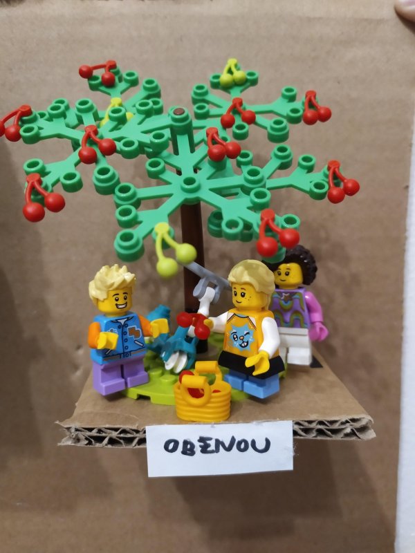 foto SOUTĚŽ Strom 14957