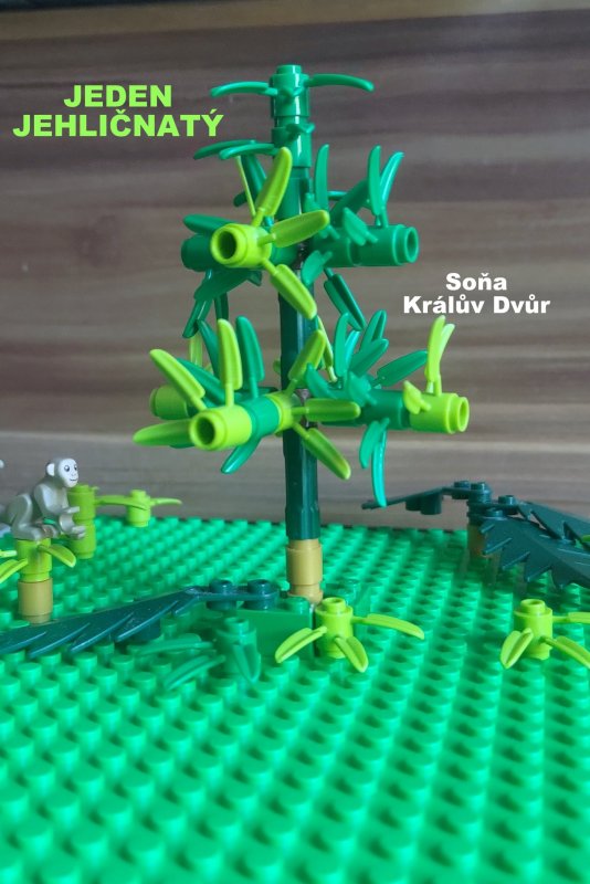 foto SOUTĚŽ Strom 14961