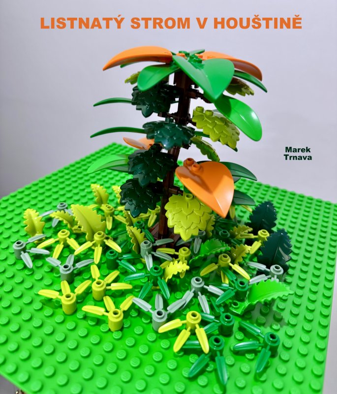 foto SOUTĚŽ Strom 14962