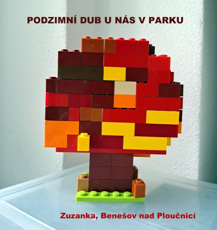 foto SOUTĚŽ Strom 14963