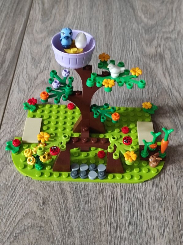 foto SOUTĚŽ Strom 14964