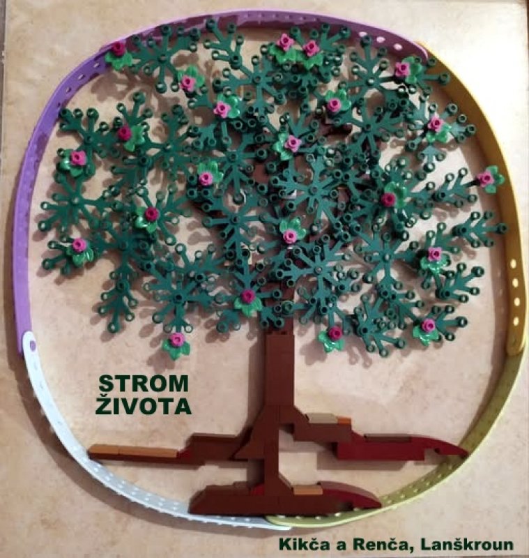 foto SOUTĚŽ Strom 14966