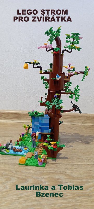 foto SOUTĚŽ Strom 14967