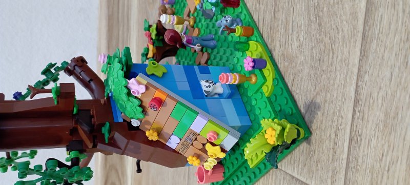 foto SOUTĚŽ Strom 14968