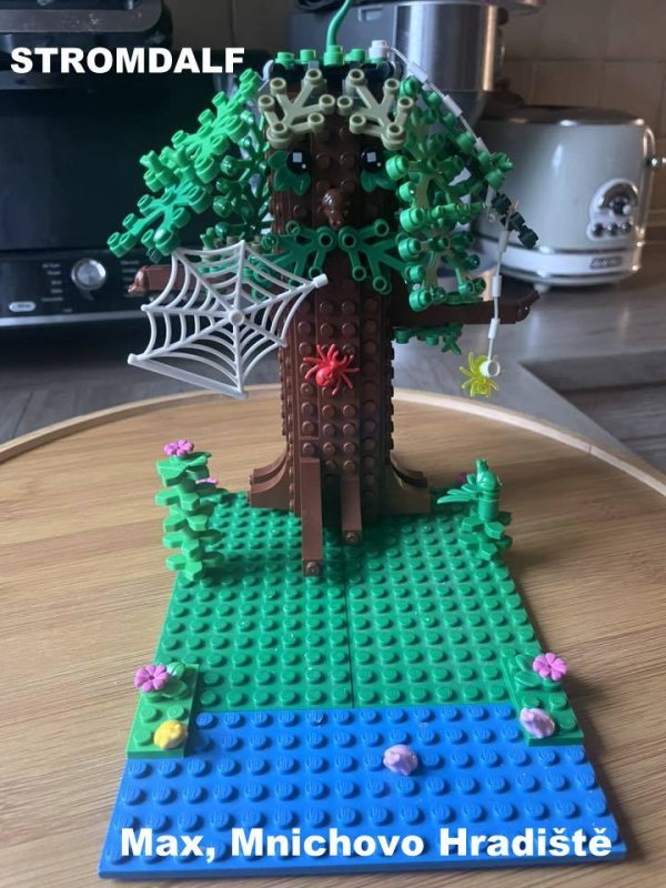 foto SOUTĚŽ Strom 14969