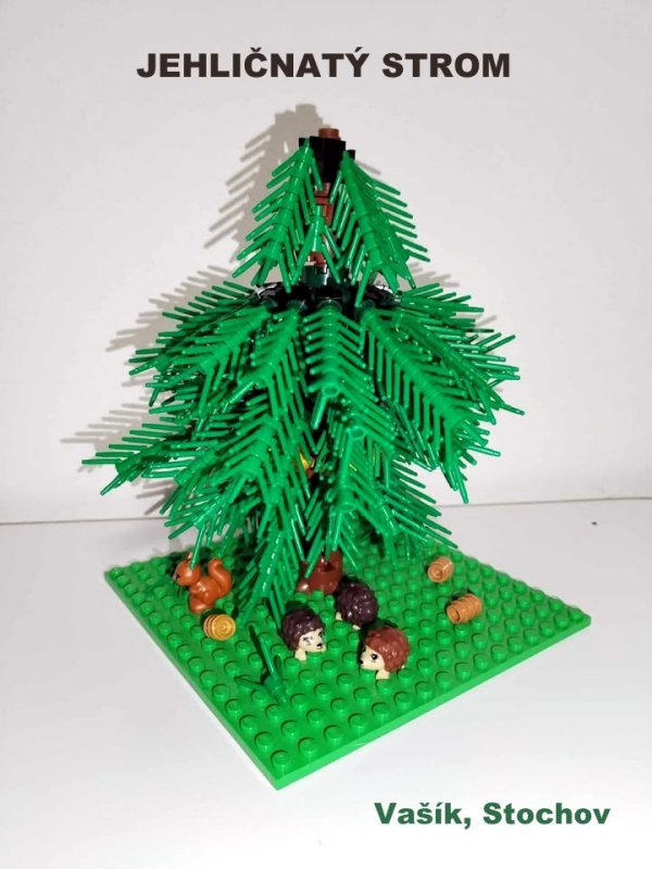 foto SOUTĚŽ Strom 14972