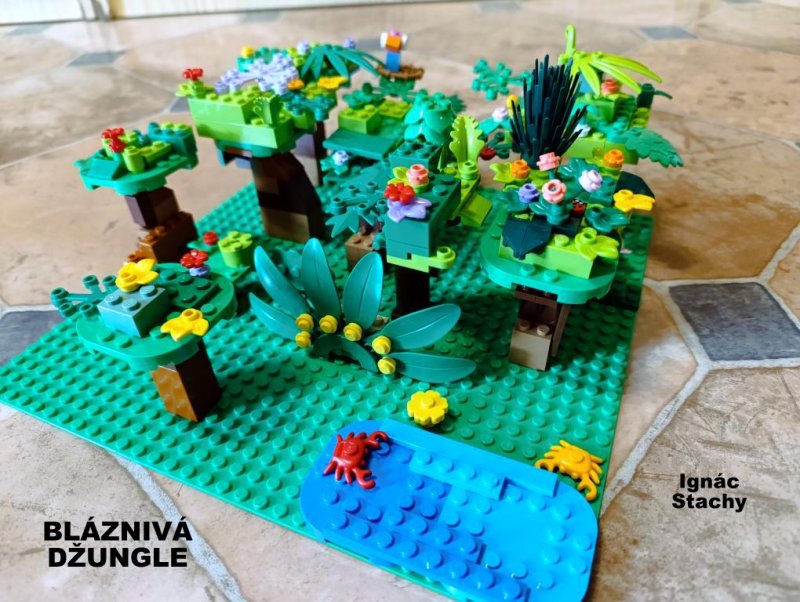 foto SOUTĚŽ Strom 14974