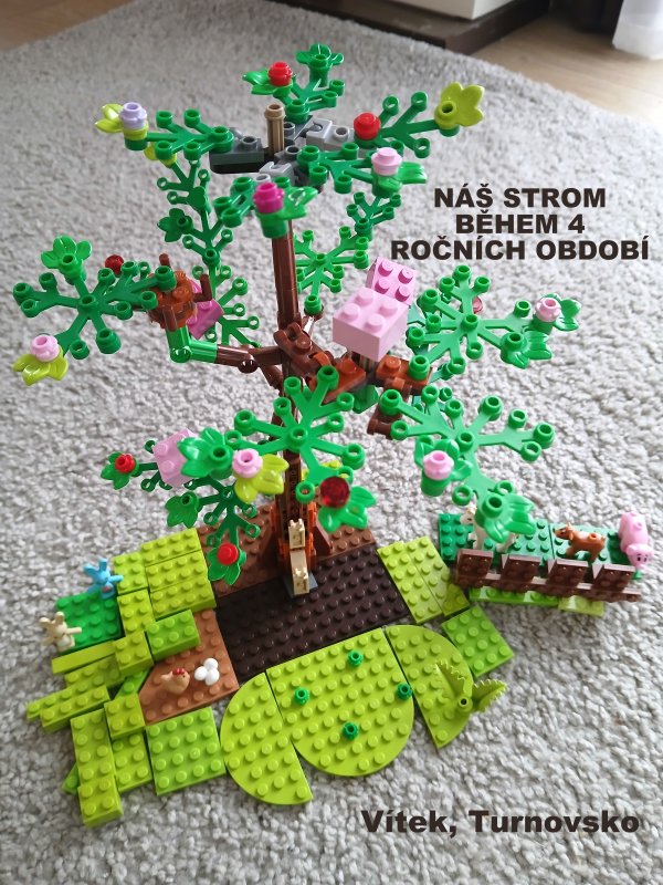 foto SOUTĚŽ Strom 14981