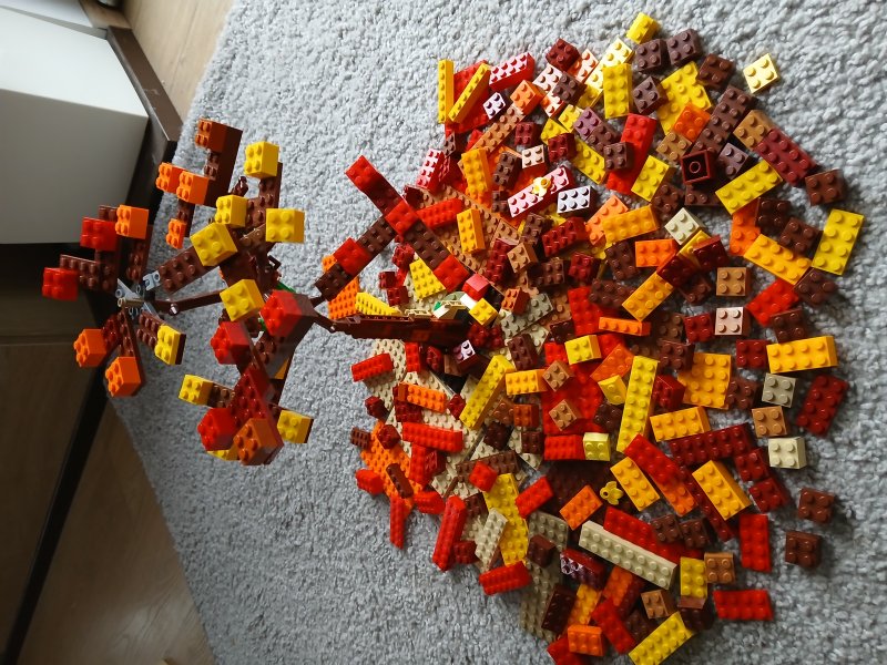 foto SOUTĚŽ Strom 14982