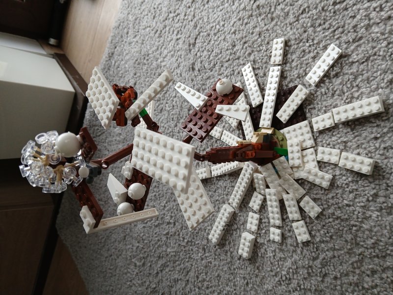 foto SOUTĚŽ Strom 14983