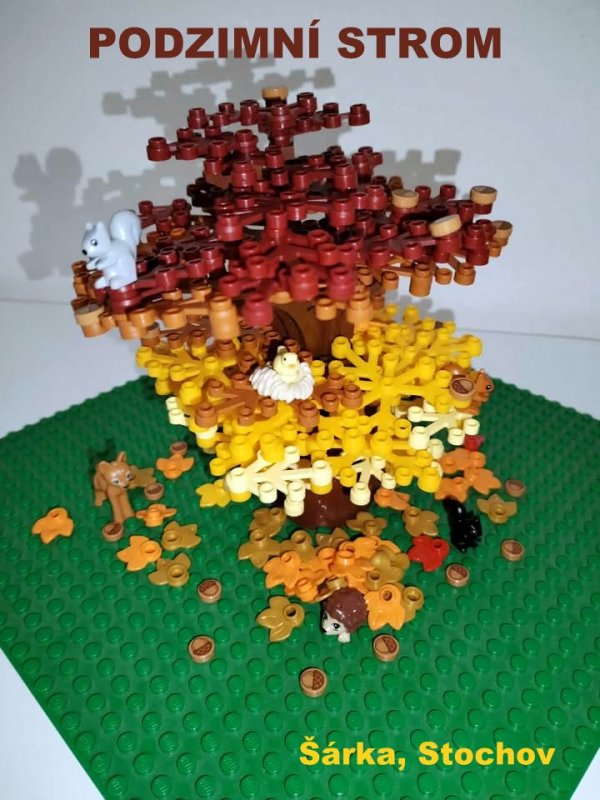 foto SOUTĚŽ Strom 14984