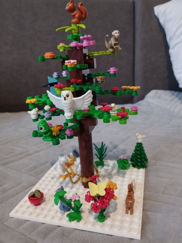 foto SOUTĚŽ Strom 14990