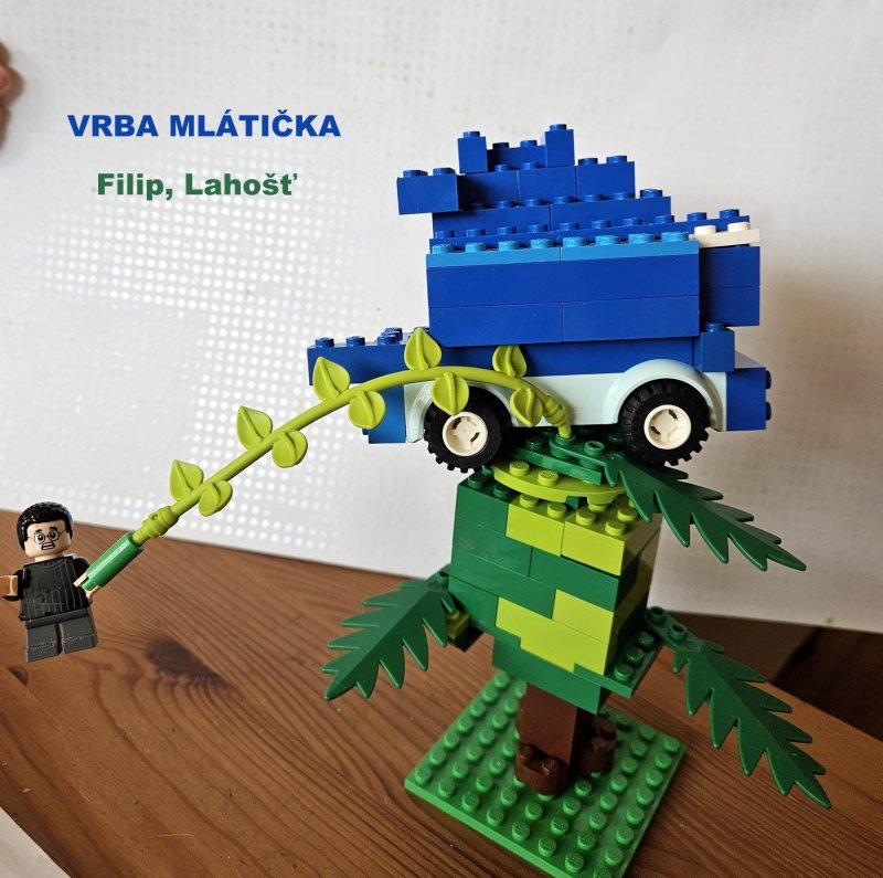 foto SOUTĚŽ Strom 14994